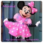 Minnie Party Character Minnie Party Character