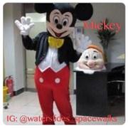 Mickey Mickey